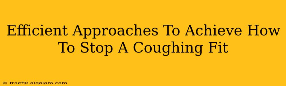 Efficient Approaches To Achieve How To Stop A Coughing Fit