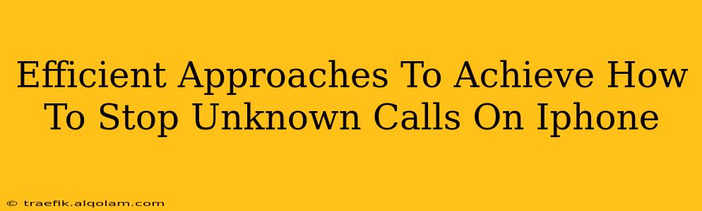 Efficient Approaches To Achieve How To Stop Unknown Calls On Iphone