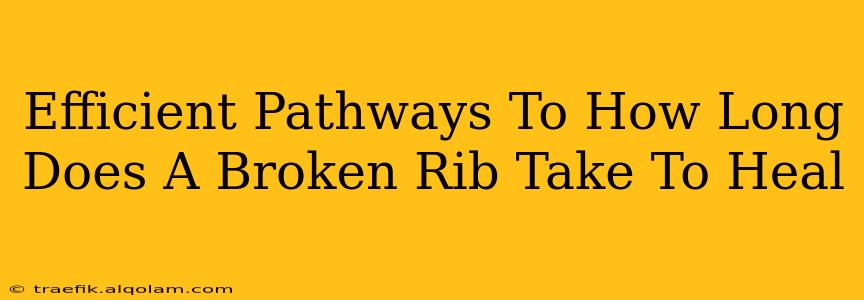 Efficient Pathways To How Long Does A Broken Rib Take To Heal