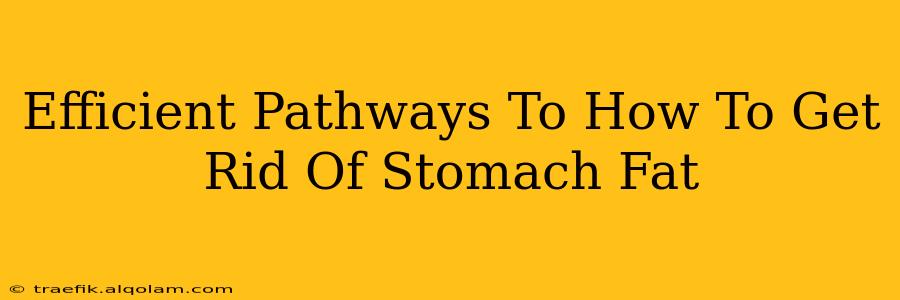 Efficient Pathways To How To Get Rid Of Stomach Fat