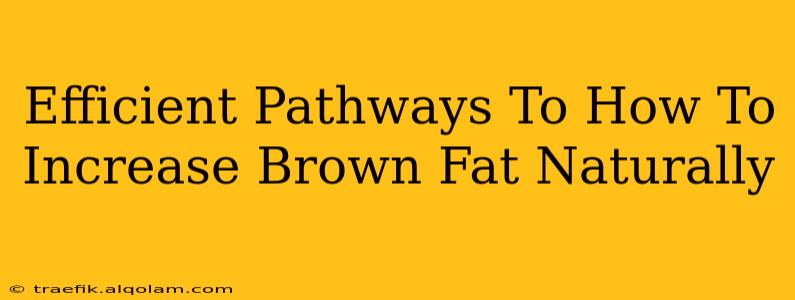 Efficient Pathways To How To Increase Brown Fat Naturally