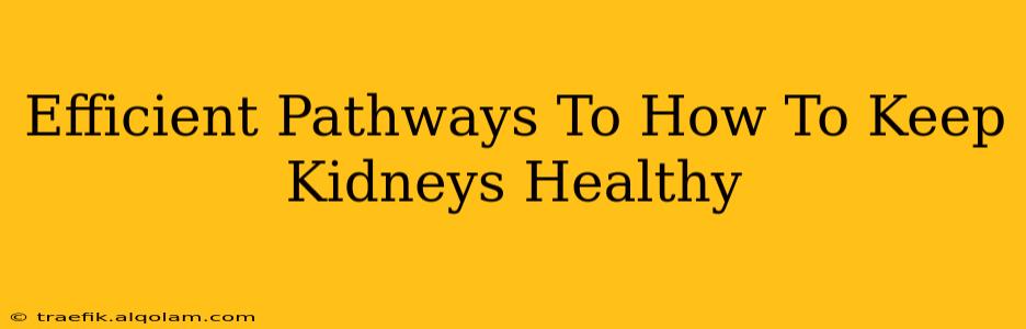 Efficient Pathways To How To Keep Kidneys Healthy