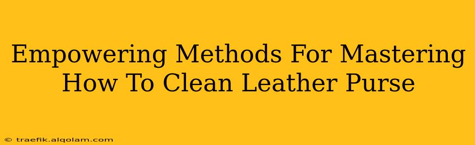 Empowering Methods For Mastering How To Clean Leather Purse