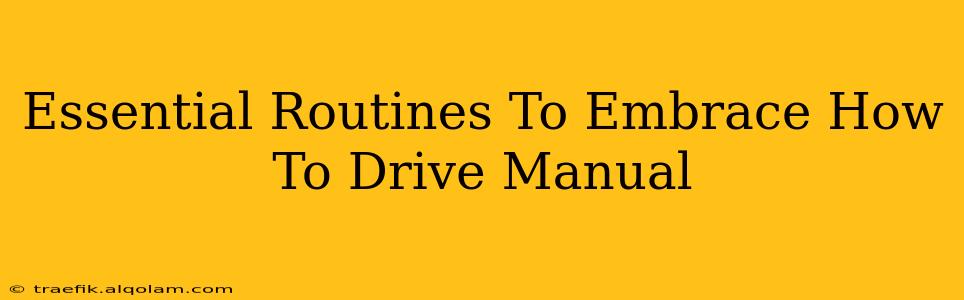 Essential Routines To Embrace How To Drive Manual