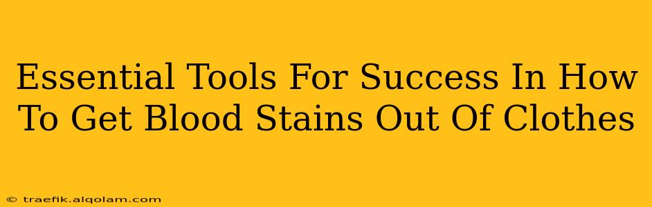 Essential Tools For Success In How To Get Blood Stains Out Of Clothes