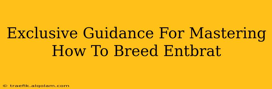 Exclusive Guidance For Mastering How To Breed Entbrat