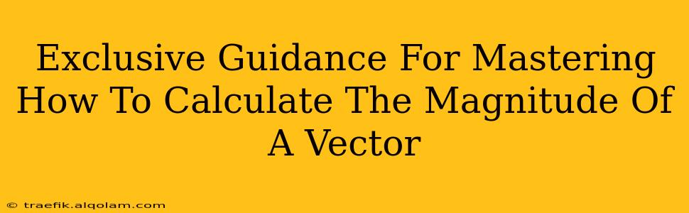 Exclusive Guidance For Mastering How To Calculate The Magnitude Of A Vector