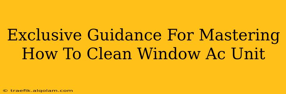 Exclusive Guidance For Mastering How To Clean Window Ac Unit