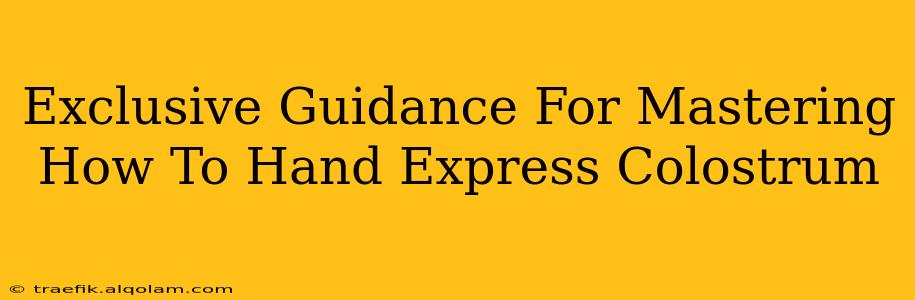 Exclusive Guidance For Mastering How To Hand Express Colostrum