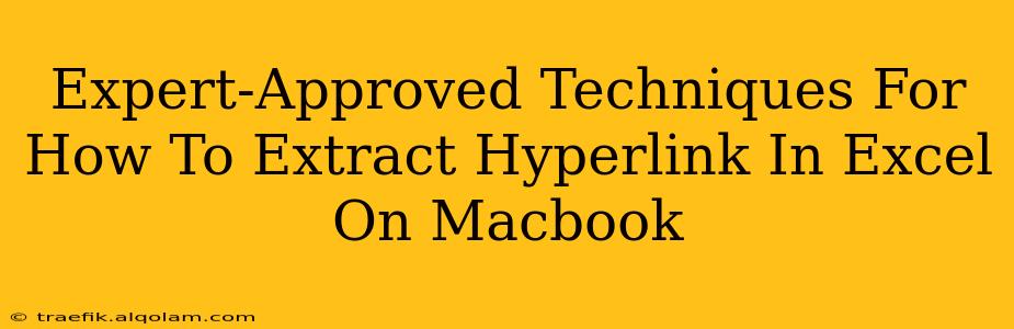 Expert-Approved Techniques For How To Extract Hyperlink In Excel On Macbook