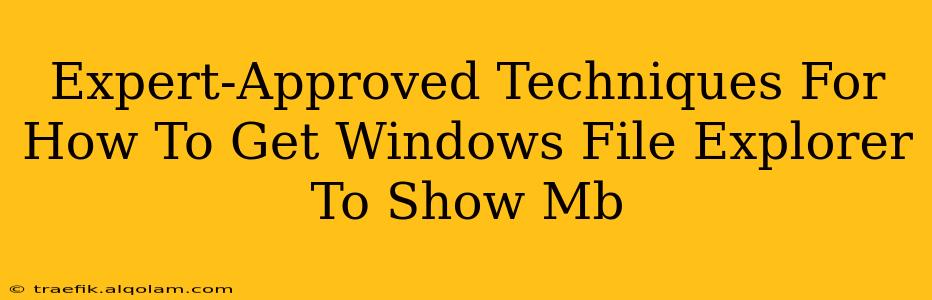 Expert-Approved Techniques For How To Get Windows File Explorer To Show Mb