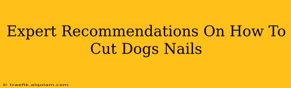 Expert Recommendations On How To Cut Dogs Nails