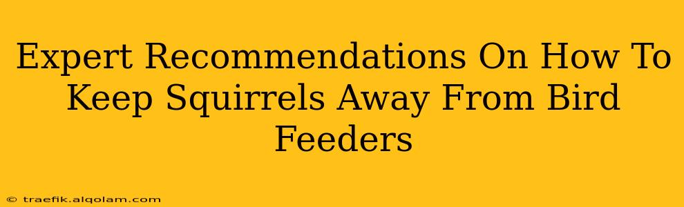 Expert Recommendations On How To Keep Squirrels Away From Bird Feeders