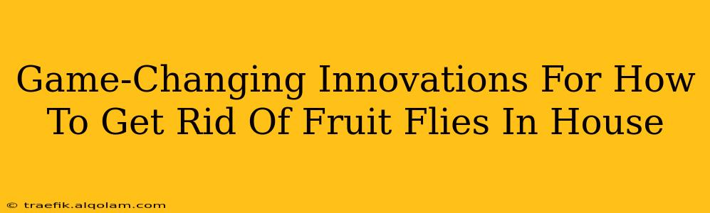 Game-Changing Innovations For How To Get Rid Of Fruit Flies In House