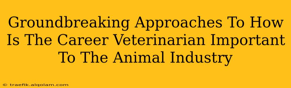 Groundbreaking Approaches To How Is The Career Veterinarian Important To The Animal Industry