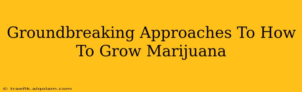 Groundbreaking Approaches To How To Grow Marijuana