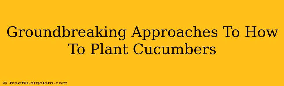 Groundbreaking Approaches To How To Plant Cucumbers