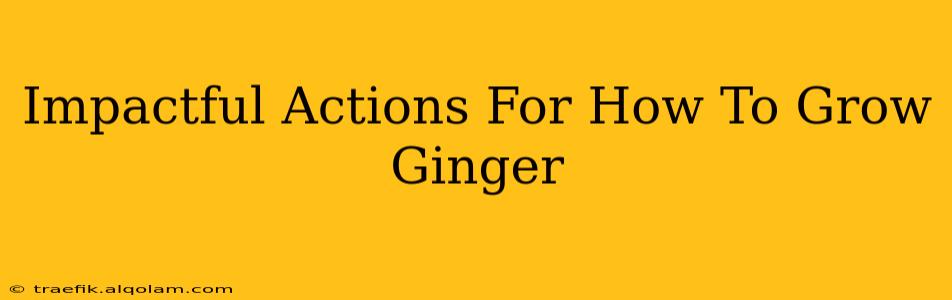 Impactful Actions For How To Grow Ginger