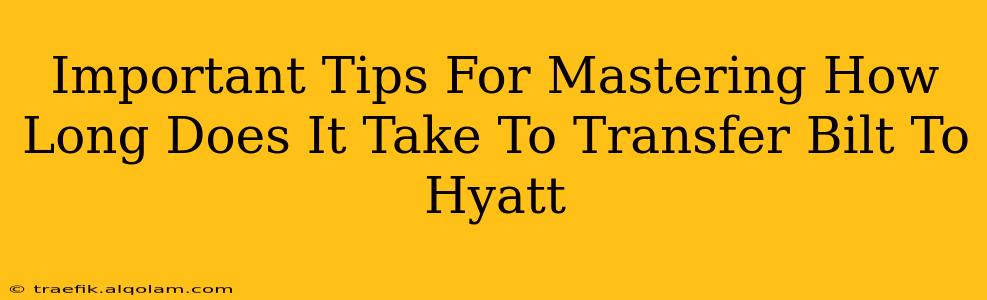 Important Tips For Mastering How Long Does It Take To Transfer Bilt To Hyatt