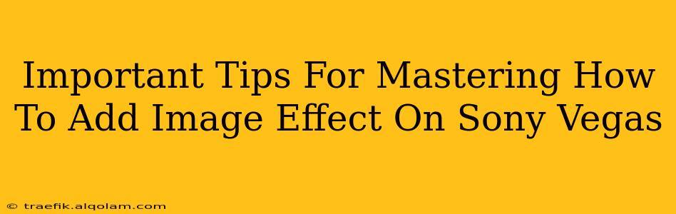 Important Tips For Mastering How To Add Image Effect On Sony Vegas