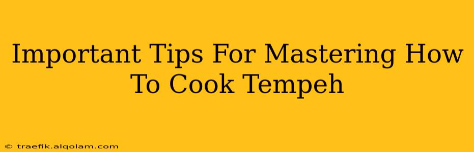 Important Tips For Mastering How To Cook Tempeh