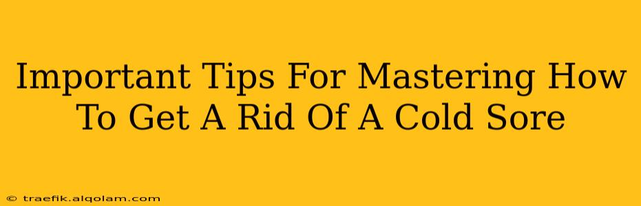 Important Tips For Mastering How To Get A Rid Of A Cold Sore