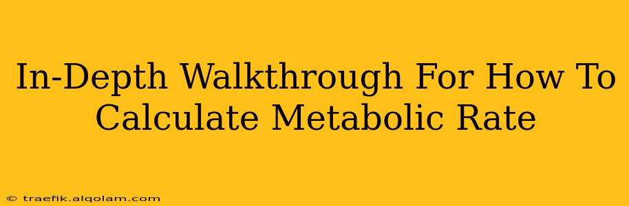 In-Depth Walkthrough For How To Calculate Metabolic Rate