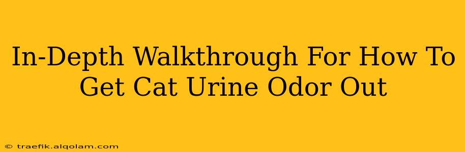 In-Depth Walkthrough For How To Get Cat Urine Odor Out