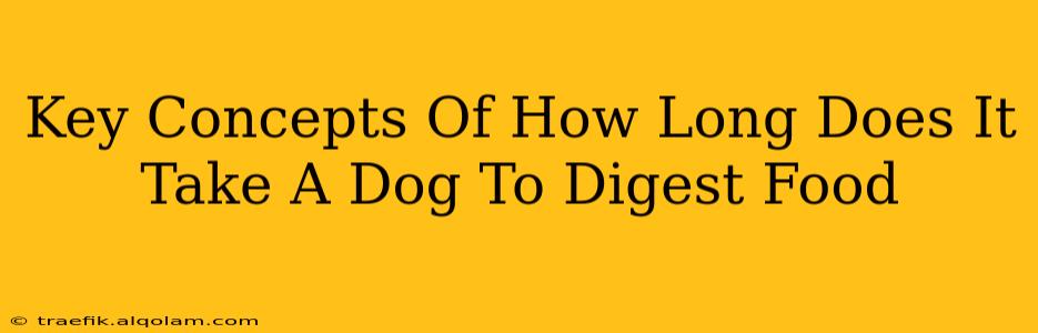 Key Concepts Of How Long Does It Take A Dog To Digest Food