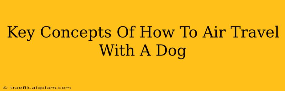 Key Concepts Of How To Air Travel With A Dog