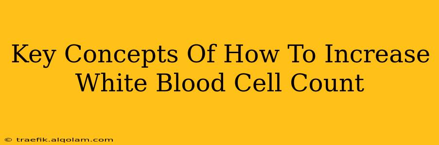 Key Concepts Of How To Increase White Blood Cell Count