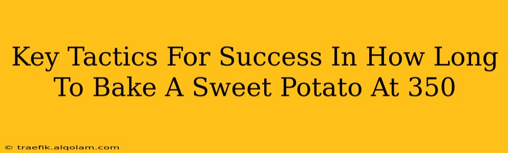 Key Tactics For Success In How Long To Bake A Sweet Potato At 350