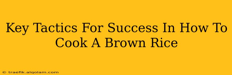 Key Tactics For Success In How To Cook A Brown Rice