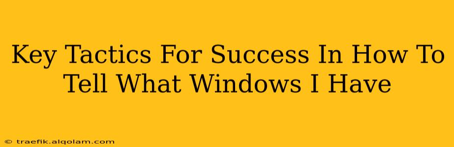 Key Tactics For Success In How To Tell What Windows I Have