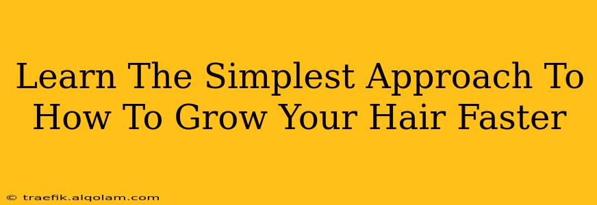 Learn The Simplest Approach To How To Grow Your Hair Faster