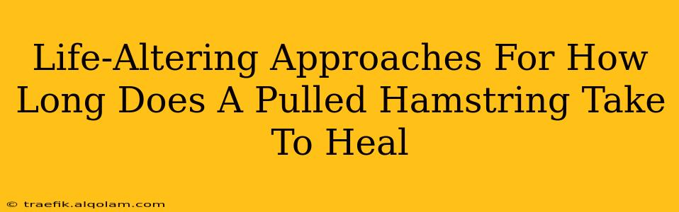 Life-Altering Approaches For How Long Does A Pulled Hamstring Take To Heal