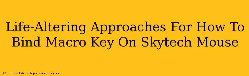 Life-Altering Approaches For How To Bind Macro Key On Skytech Mouse