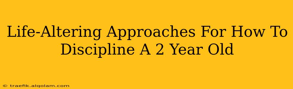 Life-Altering Approaches For How To Discipline A 2 Year Old