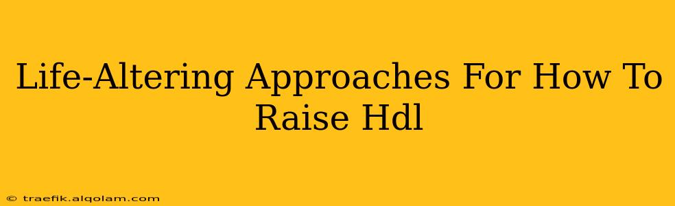 Life-Altering Approaches For How To Raise Hdl