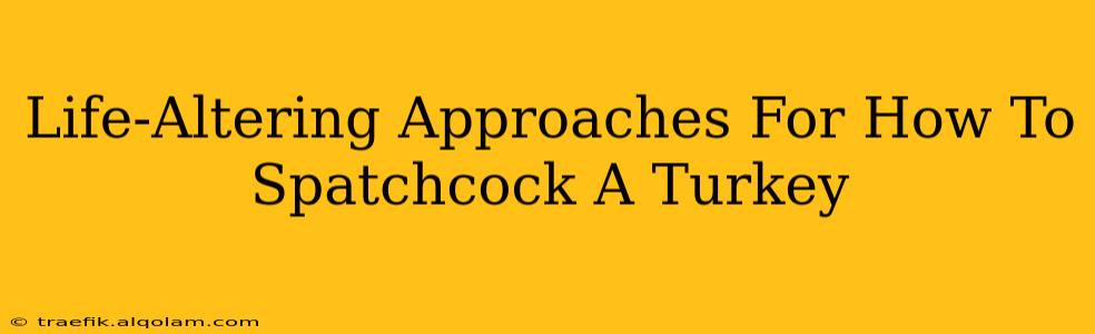 Life-Altering Approaches For How To Spatchcock A Turkey