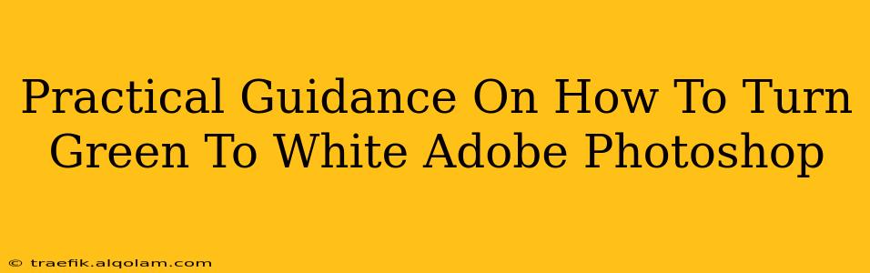 Practical Guidance On How To Turn Green To White Adobe Photoshop