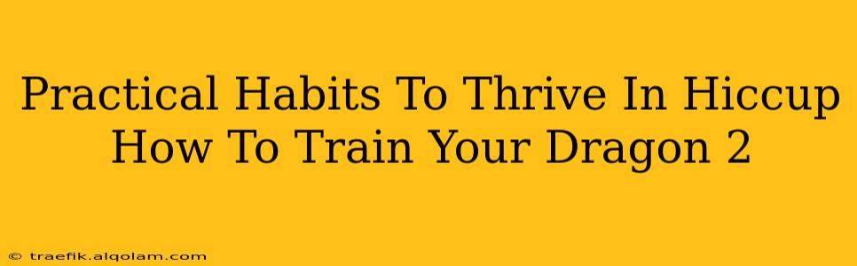 Practical Habits To Thrive In Hiccup How To Train Your Dragon 2