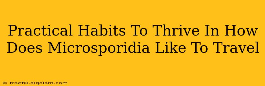 Practical Habits To Thrive In How Does Microsporidia Like To Travel