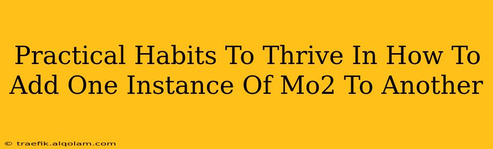 Practical Habits To Thrive In How To Add One Instance Of Mo2 To Another