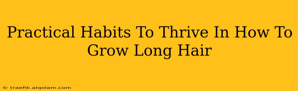 Practical Habits To Thrive In How To Grow Long Hair