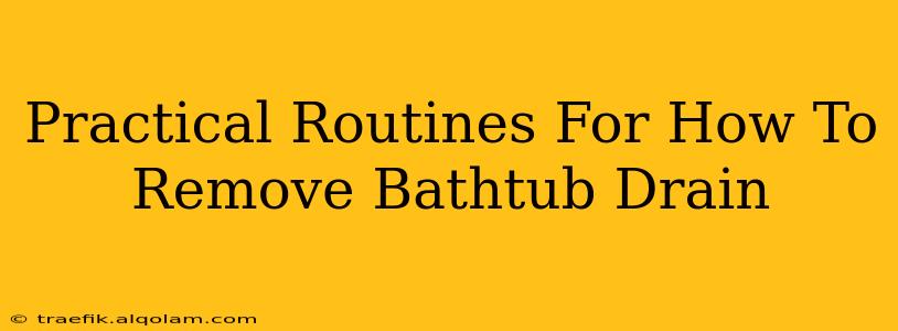 Practical Routines For How To Remove Bathtub Drain