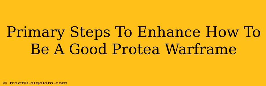 Primary Steps To Enhance How To Be A Good Protea Warframe