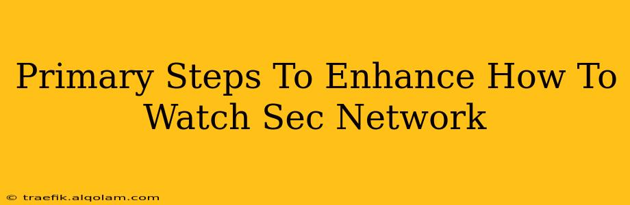 Primary Steps To Enhance How To Watch Sec Network