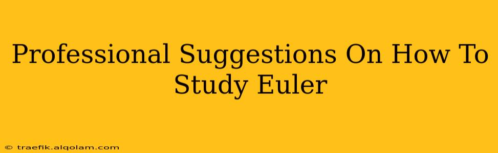 Professional Suggestions On How To Study Euler