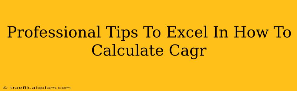 Professional Tips To Excel In How To Calculate Cagr